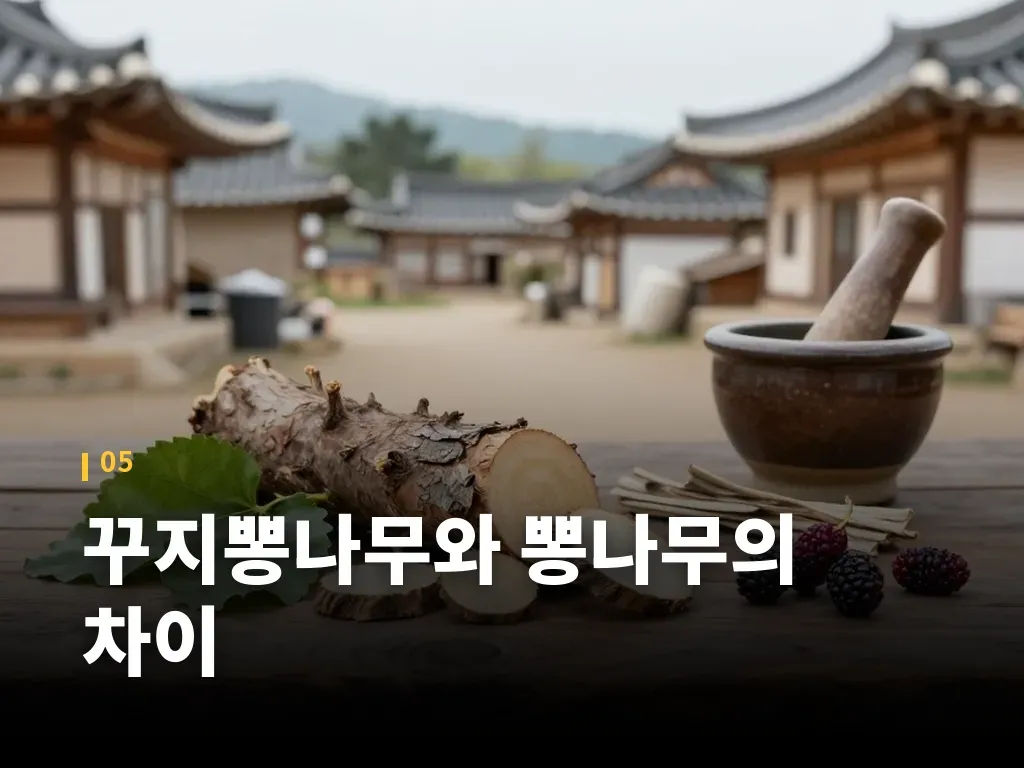 꾸지뽕나무와 뽕나무의 차이 이미지