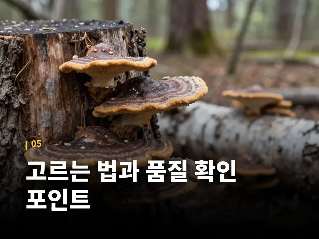 고르는 법과 품질 확인 포인트 이미지