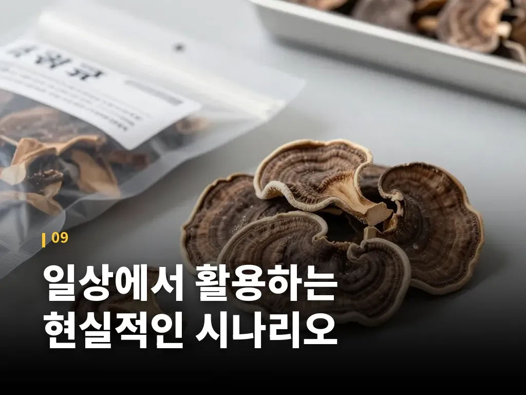 일상에서 활용하는 현실적인 시나리오 이미지