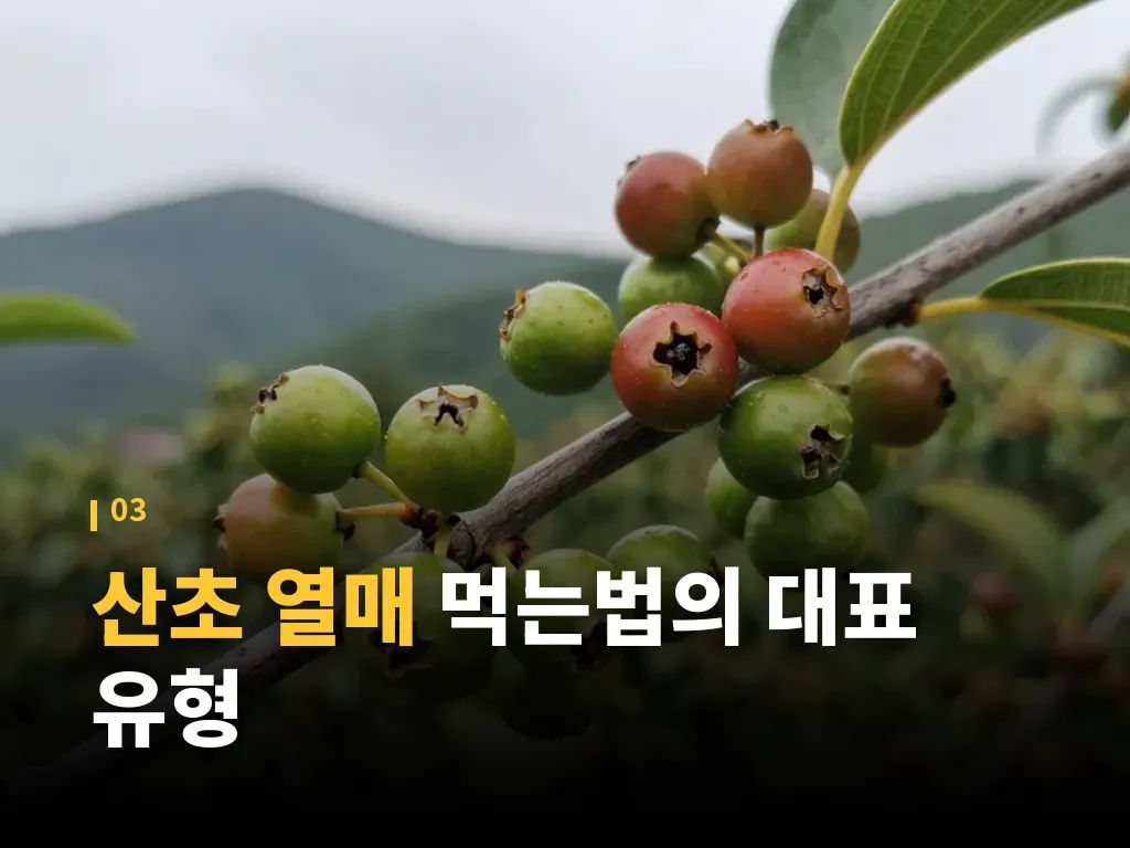 산초기름가격이 달라지는 이유 이미지
