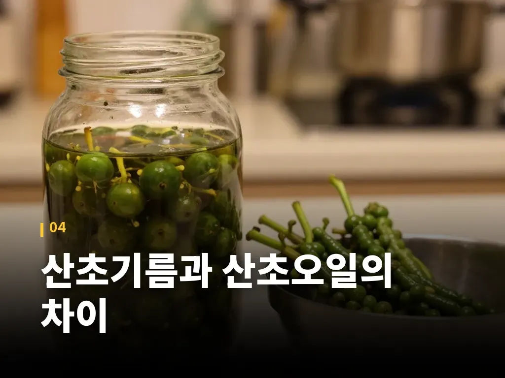 산초 열매 보관과 손질 방법 이미지