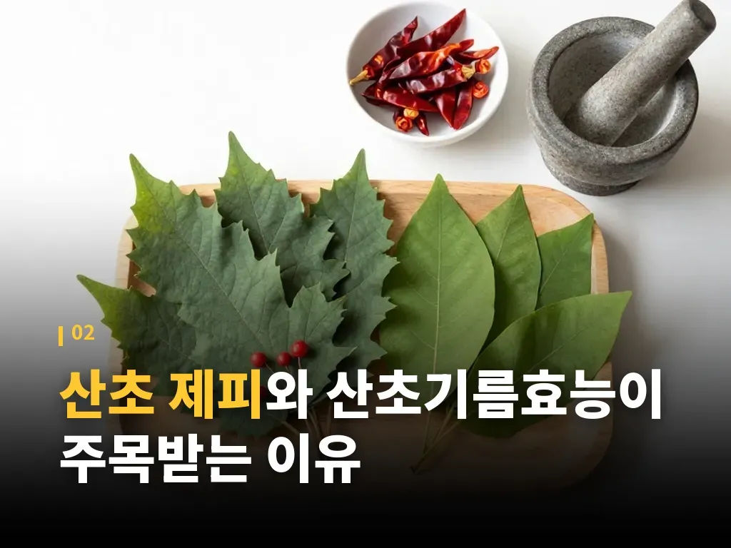 국산산초기름 고를 때 보는 기준 이미지