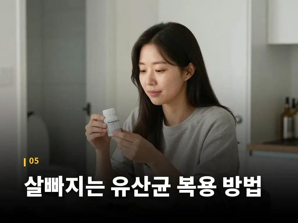 살빠지는 유산균 복용 방법 이미지