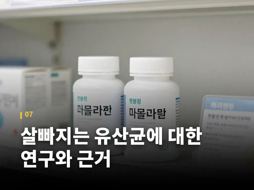 살빠지는 유산균에 대한 연구와 근거 이미지