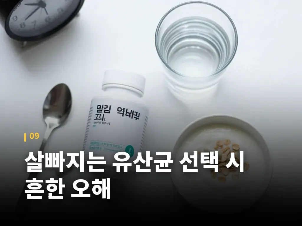 살빠지는 유산균 선택 시 흔한 오해 이미지