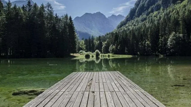 핵심요약 이미지