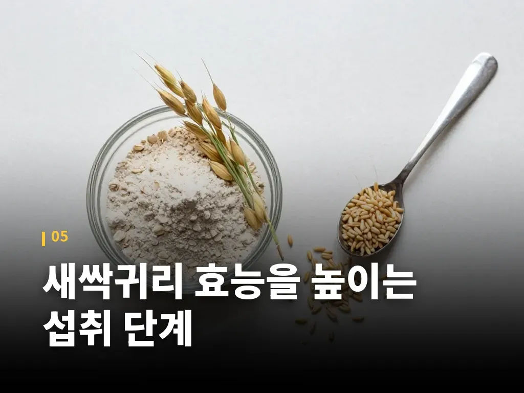 새싹귀리 효능을 높이는 섭취 단계 이미지