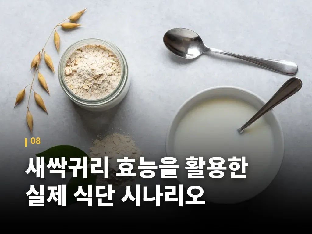 새싹귀리 효능을 활용한 실제 식단 시나리오 이미지