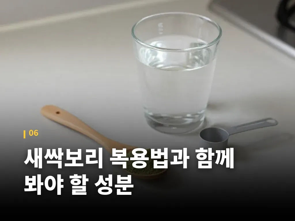 새싹보리 복용법과 함께 봐야 할 성분 이미지