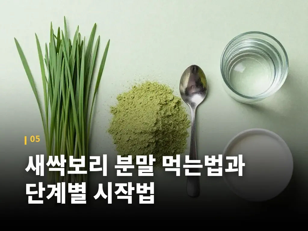 새싹보리 분말 먹는법과 단계별 시작법 이미지