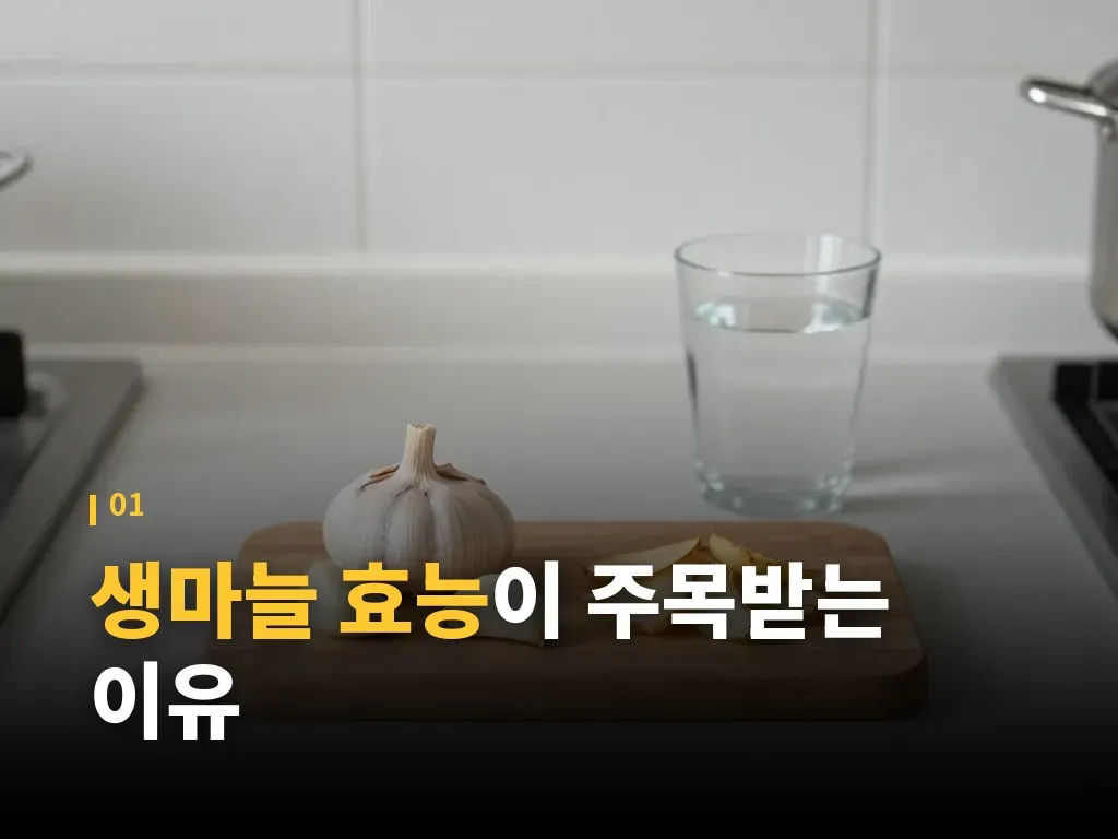 생마늘 효능과 익힌 마늘 비교 이미지