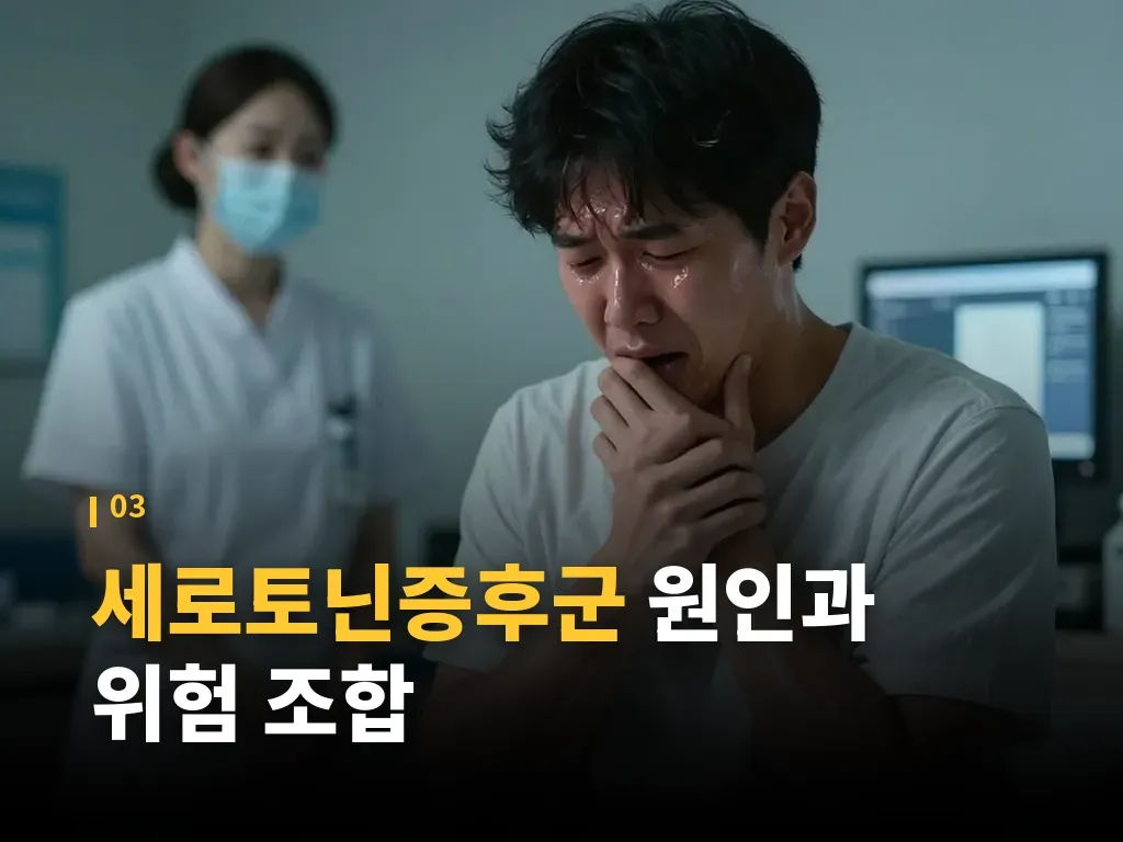 세로토닌증후군 치료 원칙 이미지