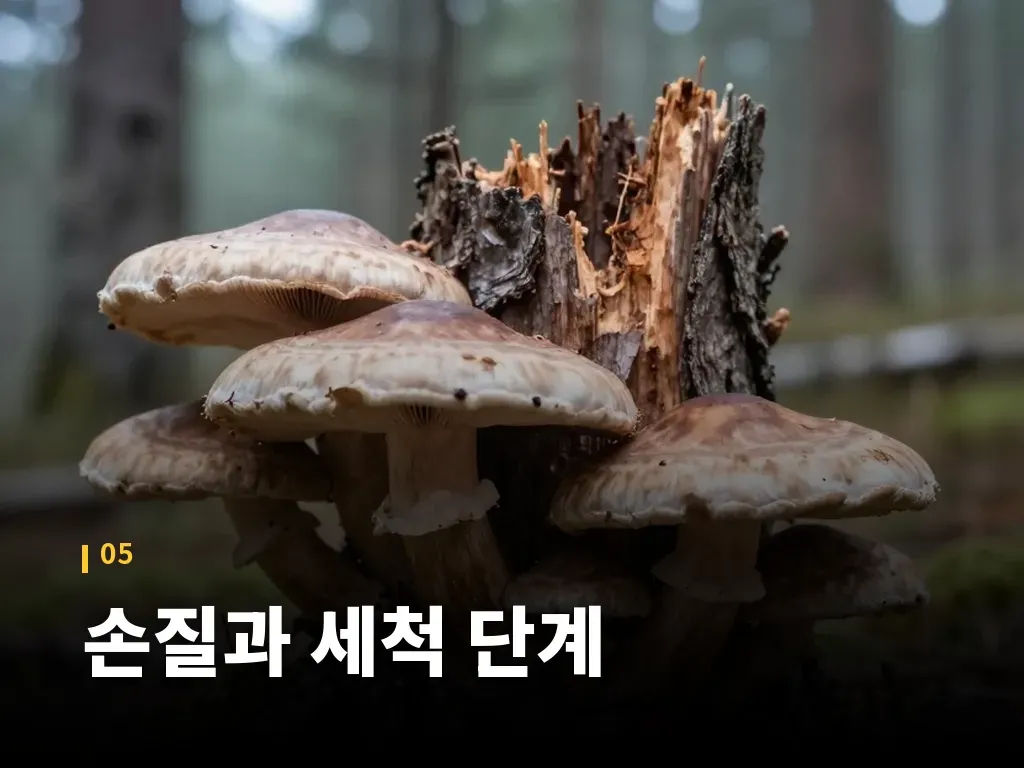 손질과 세척 단계 이미지