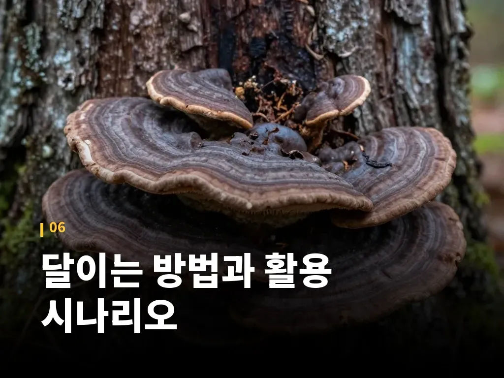 달이는 방법과 활용 시나리오 이미지