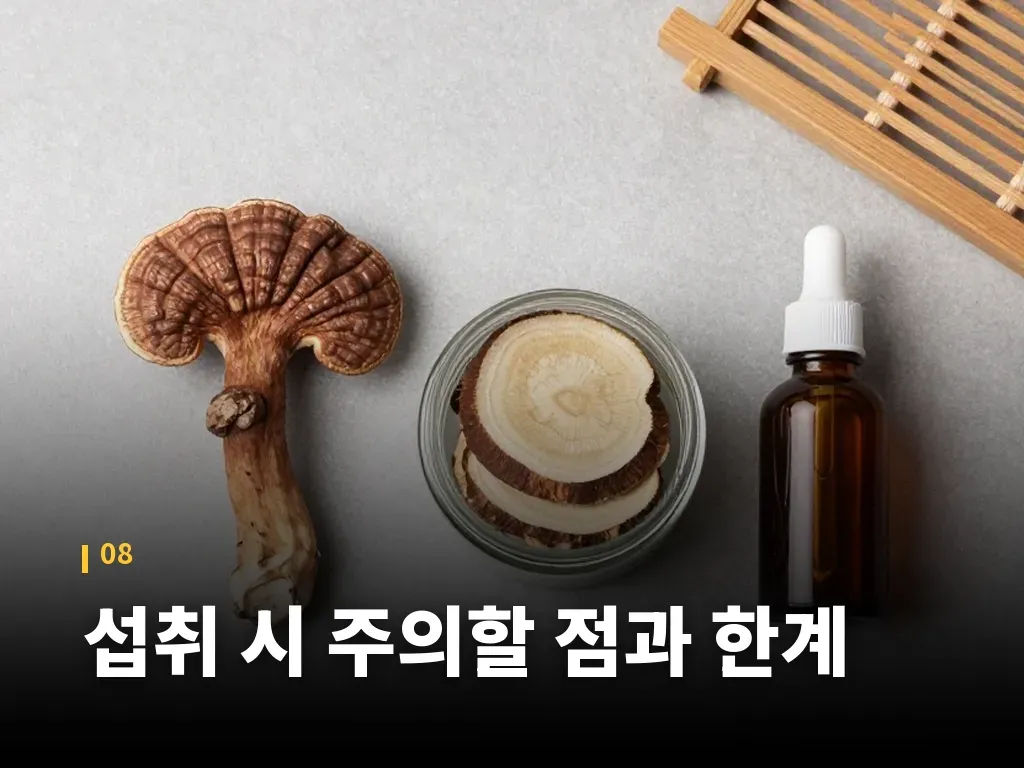 섭취 시 주의할 점과 한계 이미지