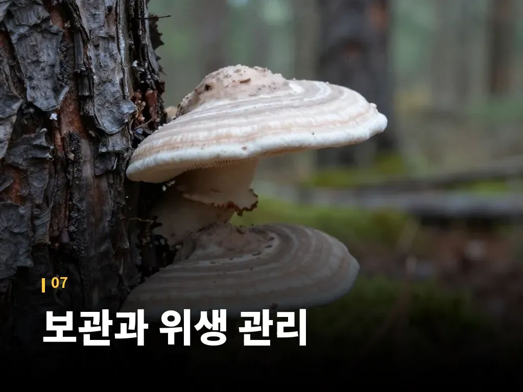 보관과 위생 관리 이미지