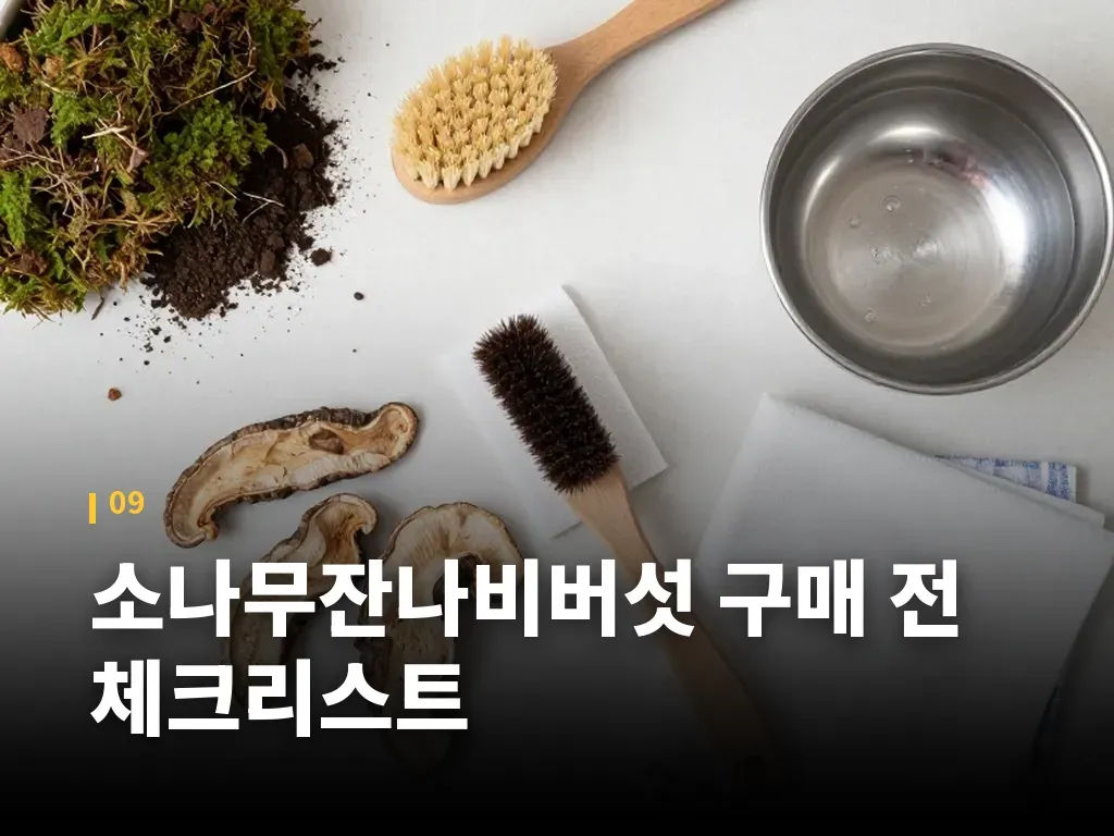 소나무잔나비버섯 구매 전 체크리스트 이미지
