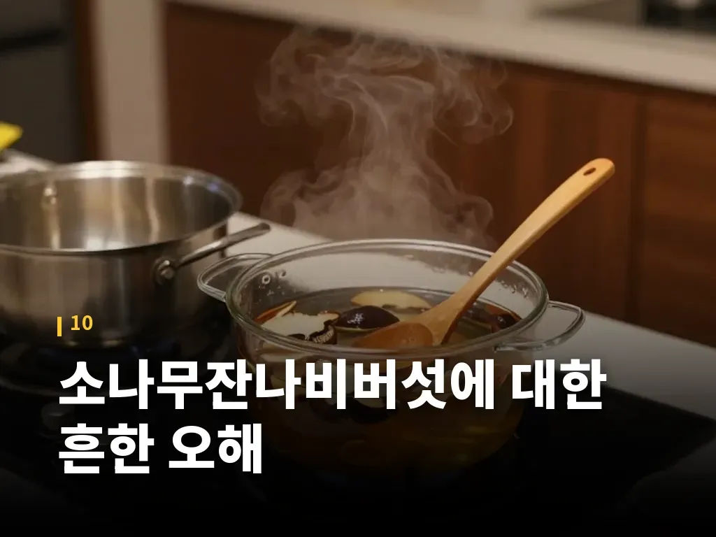 소나무잔나비버섯에 대한 흔한 오해 이미지