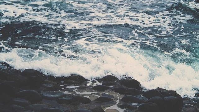 소비자고발센터 전화번호 자주 묻는 질문 Q&A 이미지