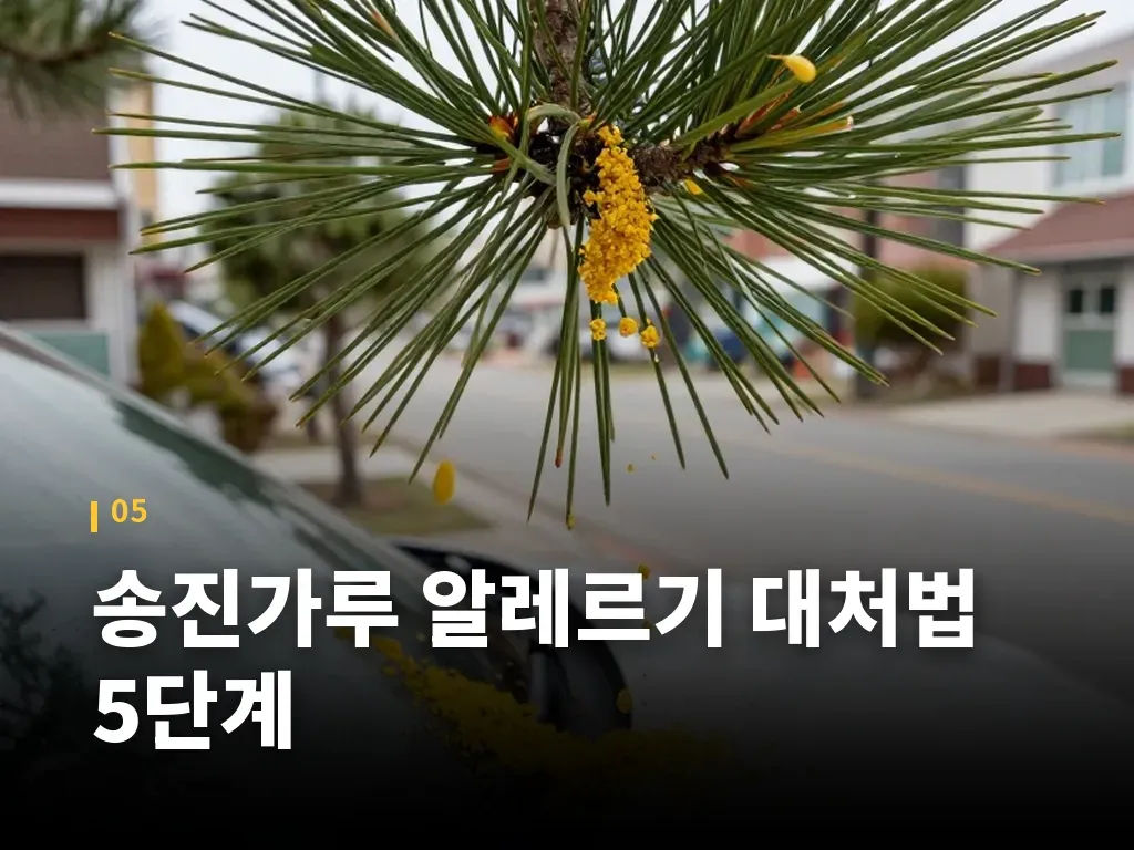 송진가루 알레르기 대처법 5단계 이미지