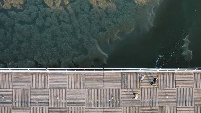 핵심 요약 이미지