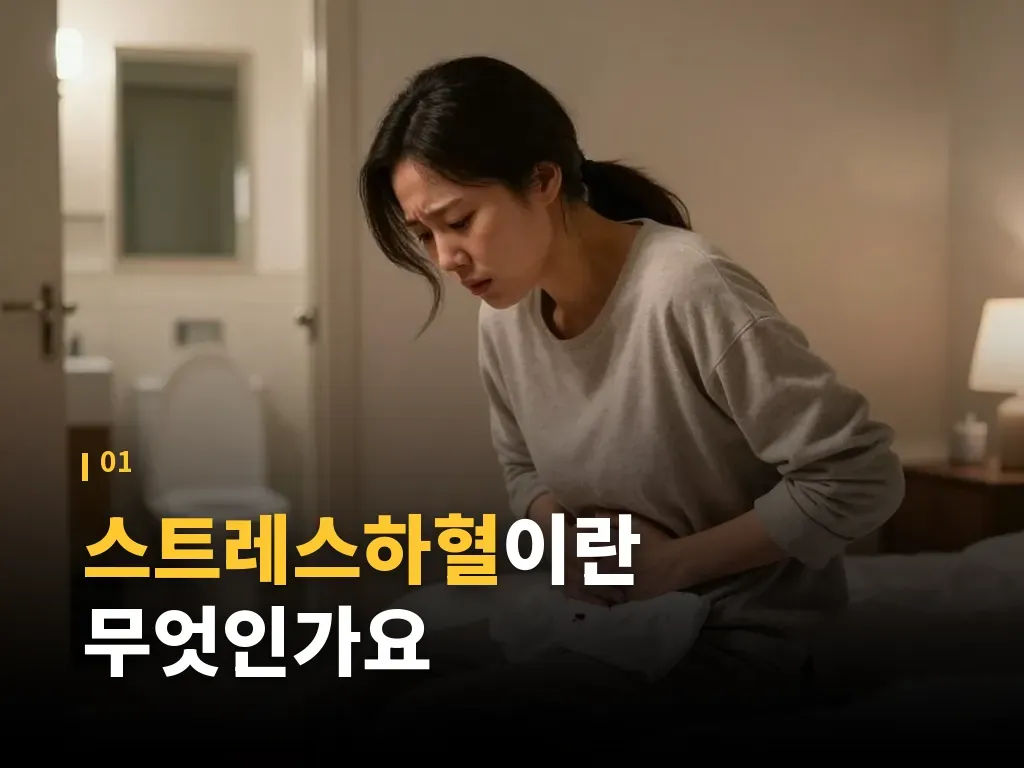 스트레스하혈과 다른 하혈 원인 비교 이미지