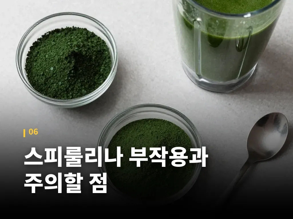 스피룰리나 부작용과 주의할 점 이미지