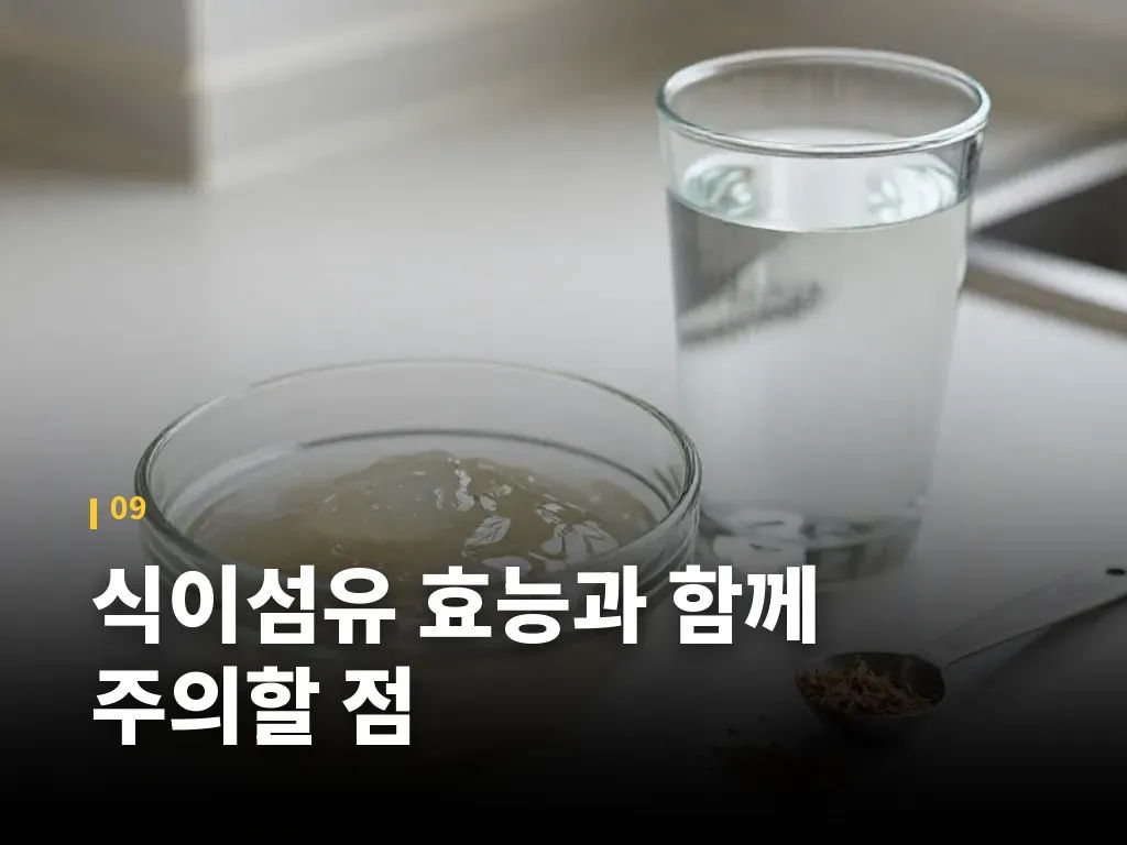 식이섬유 효능과 함께 주의할 점 이미지