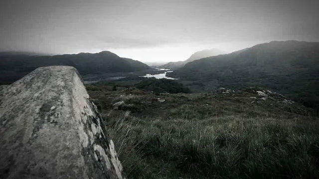 핵심 요약 이미지