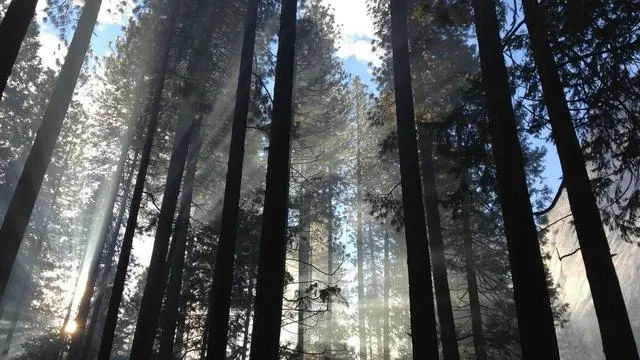 핵심 요약 이미지