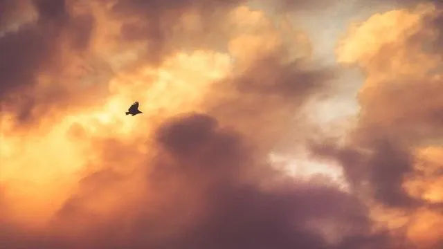 핵심 요약 이미지