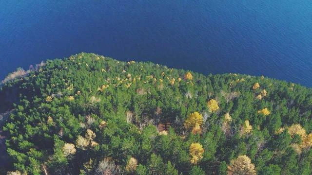 핵심 요약 이미지