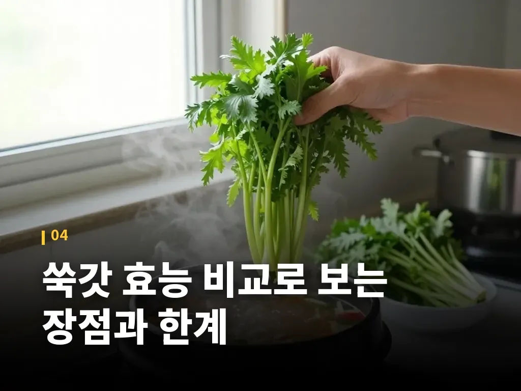 쑥갓 효능 비교로 보는 장점과 한계 이미지
