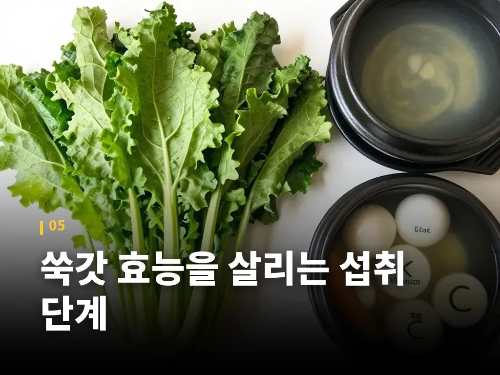 쑥갓 효능을 살리는 섭취 단계 이미지