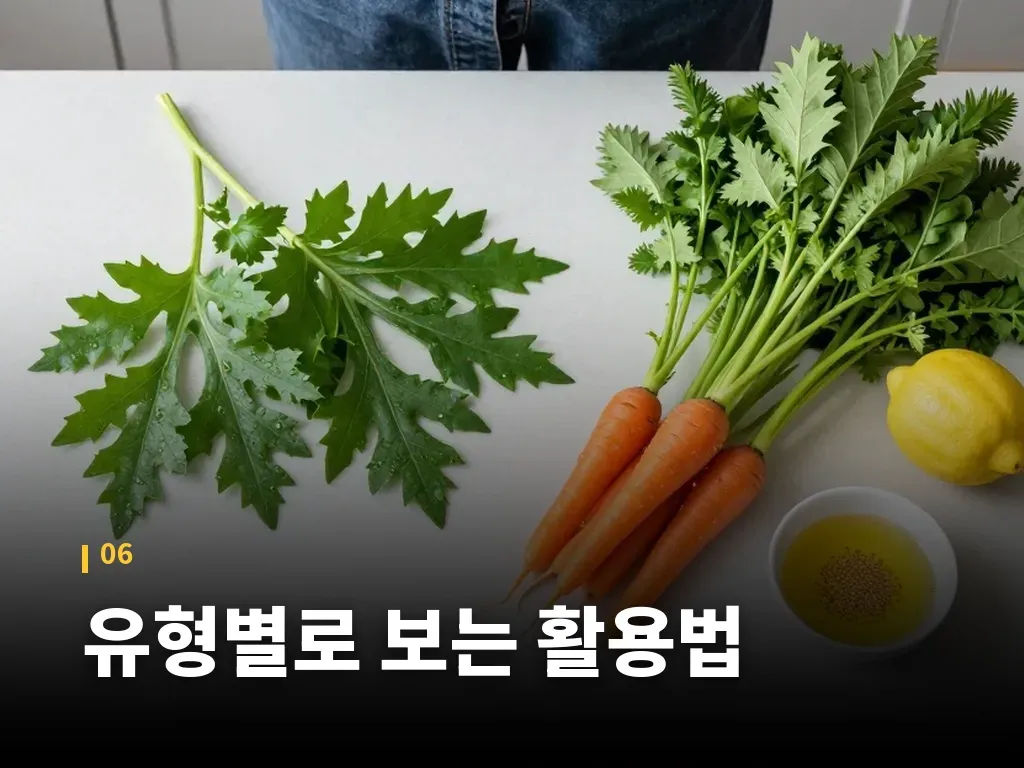 유형별로 보는 활용법 이미지
