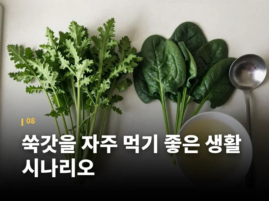 쑥갓을 자주 먹기 좋은 생활 시나리오 이미지