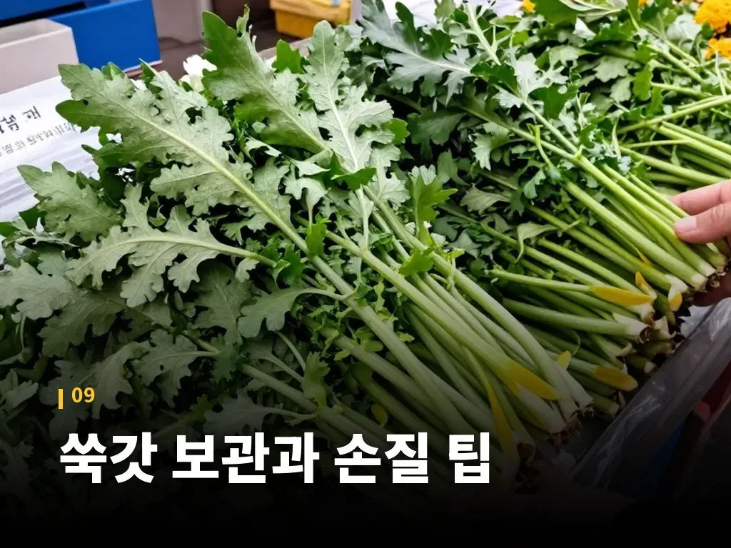 쑥갓 보관과 손질 팁 이미지