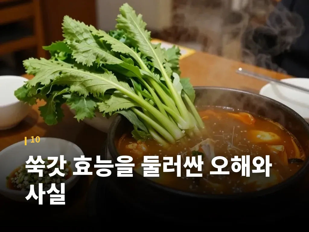 쑥갓 효능을 둘러싼 오해와 사실 이미지