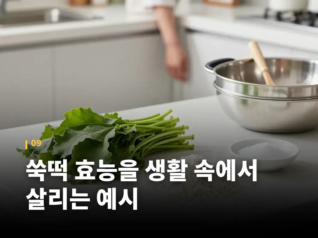 쑥떡 효능을 생활 속에서 살리는 예시 이미지