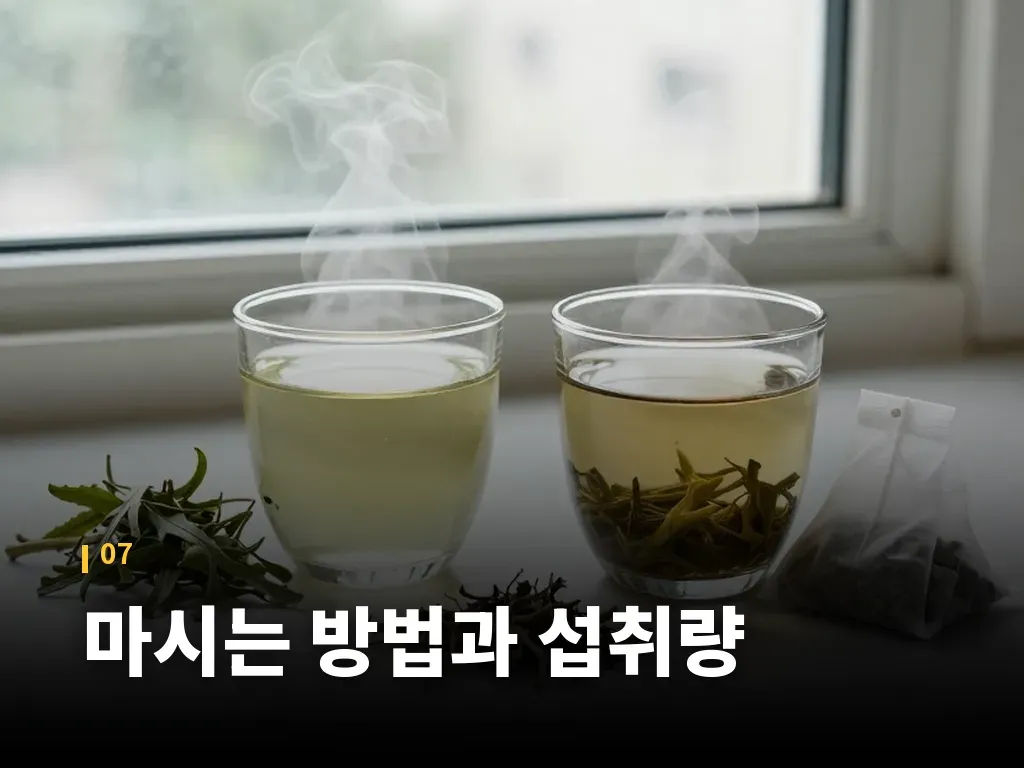 마시는 방법과 섭취량 이미지