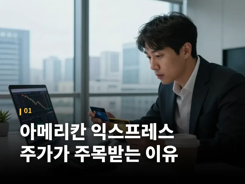 아메리칸 익스프레스 카드 라인업 비교 이미지