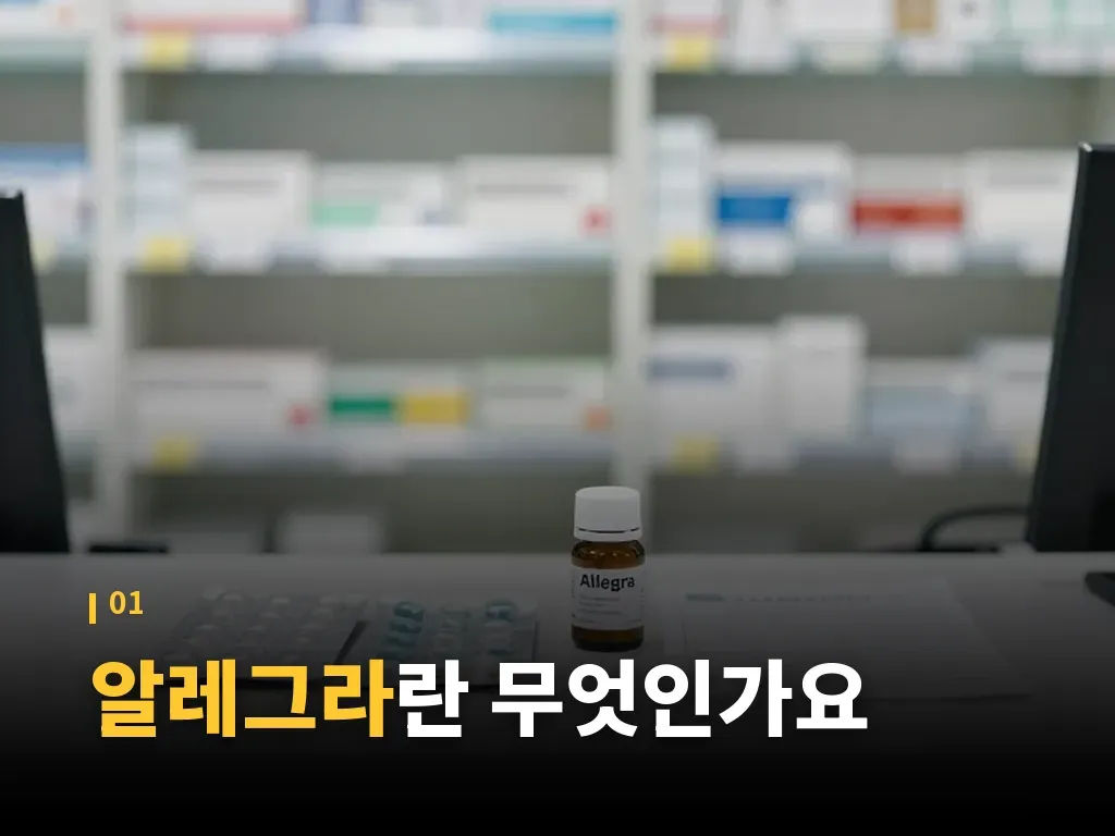 알레그라와 다른 항히스타민제 비교 이미지