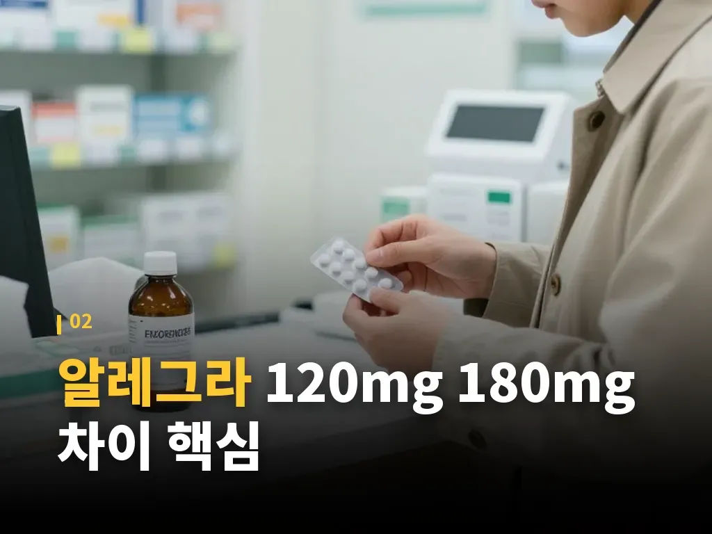 알레그라 제품 유형과 분류 이미지