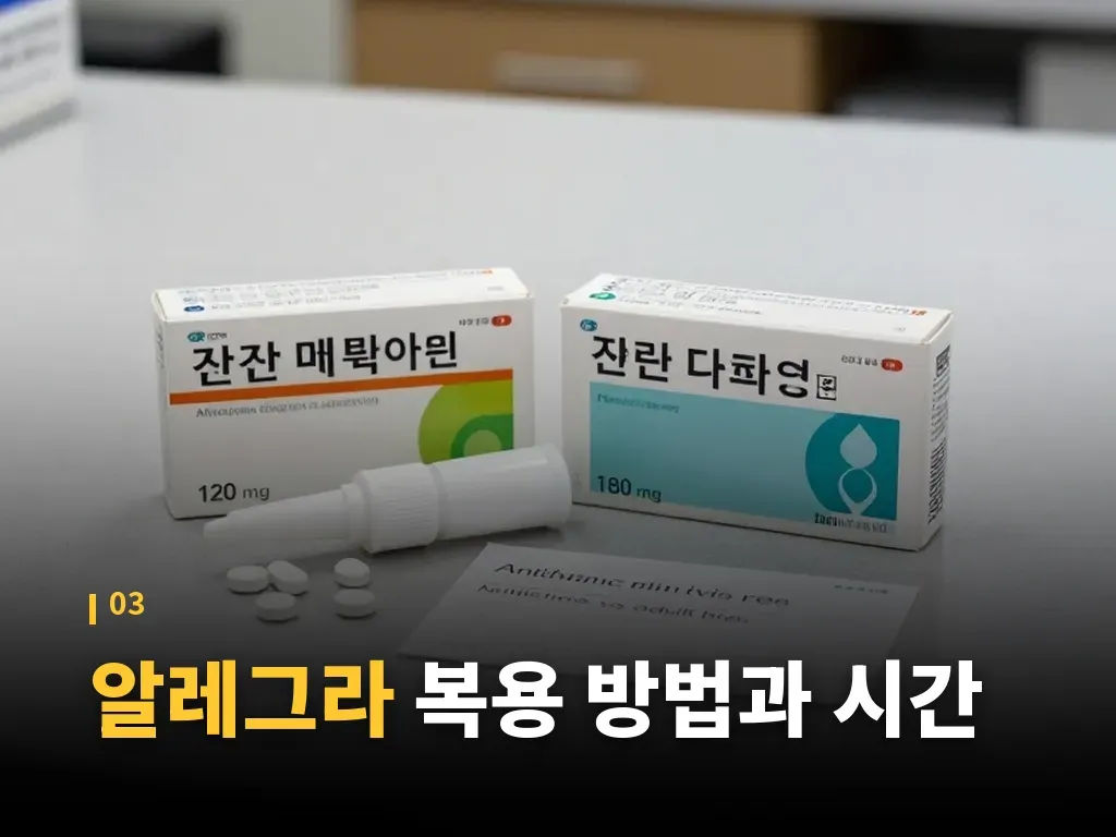 알레그라 복용 전 확인할 사람들 이미지