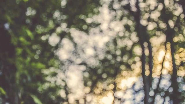 핵심 요약 이미지