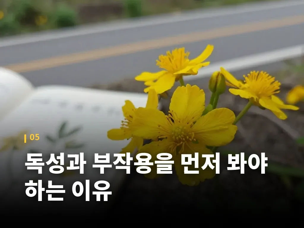 독성과 부작용을 먼저 봐야 하는 이유 이미지