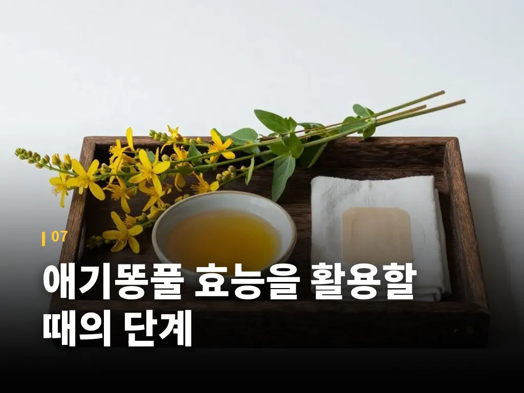 애기똥풀 효능을 활용할 때의 단계 이미지