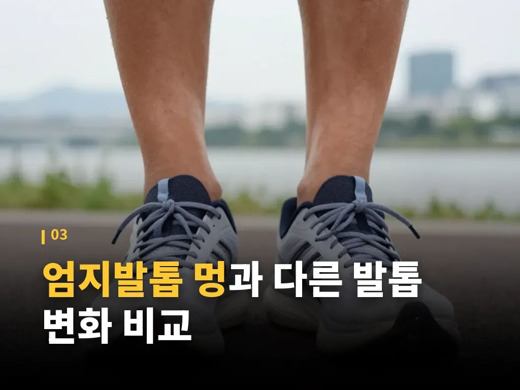 운동하는 사람에게 흔한 유형 분류 이미지