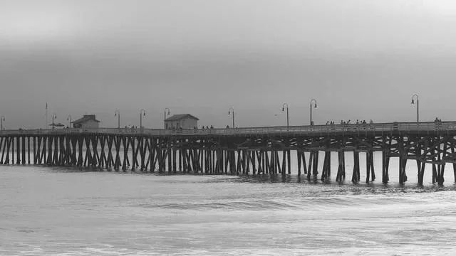 핵심 요약 이미지