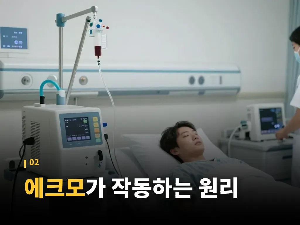 치료 절차는 어떻게 진행되는지 이미지